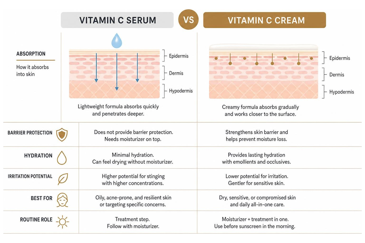 Comparison diagram of Vitamin C Serum vs Vitamin C Cream absorption and barrier protection