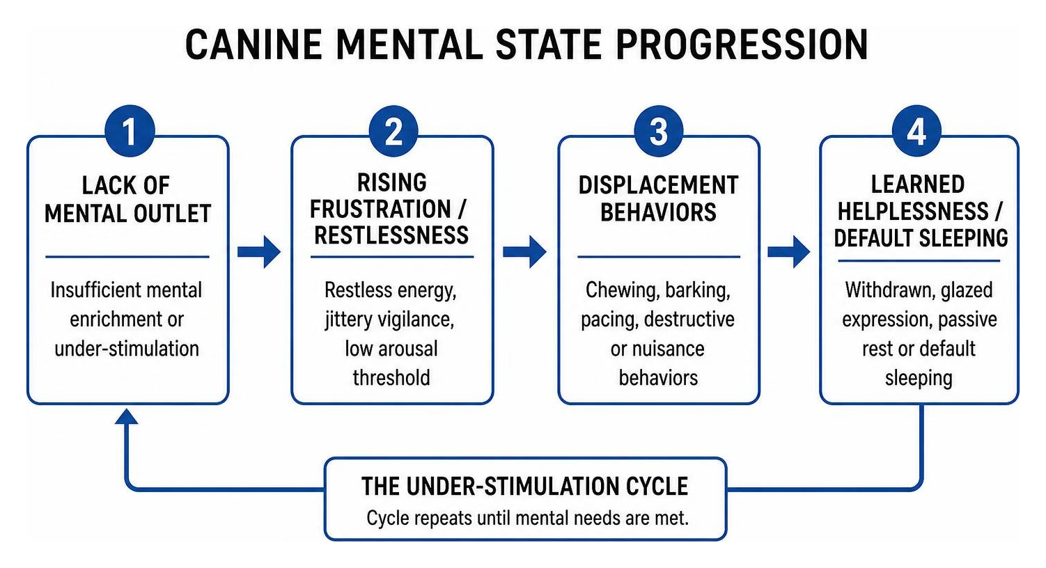 Canine mental state progression diagram