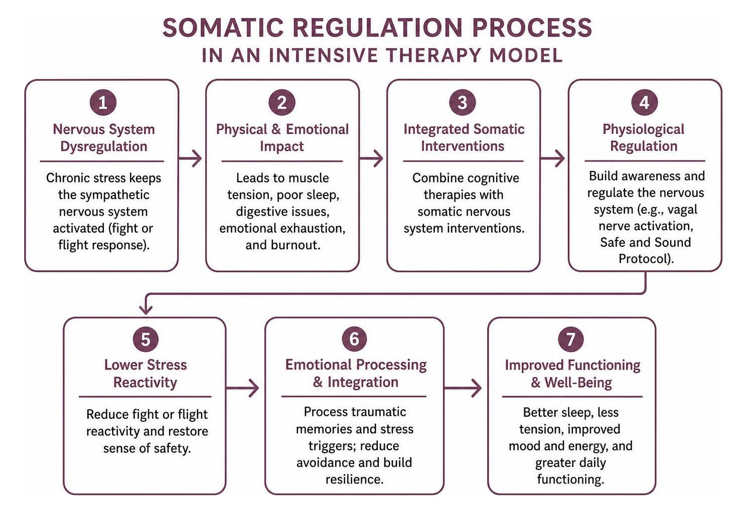 Diagram mapping the somatic regulation process in an intensive therapy model Diagram mapping the somatic regulation process in an intensive therapy model