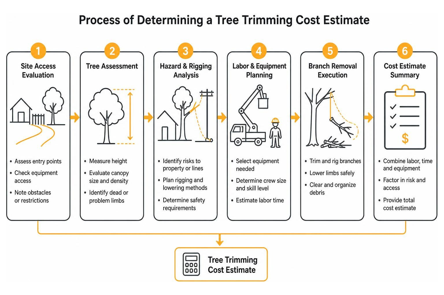 Process of determining a tree trimming cost estimate from site access to branch removal Process of determining a tree trimming cost estimate from site access to branch removal