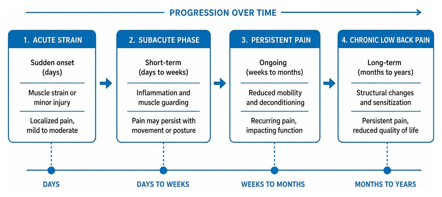 Diagram showing progression timeline from acute strain to chronic lower back pain Diagram showing progression timeline from acute strain to chronic lower back pain