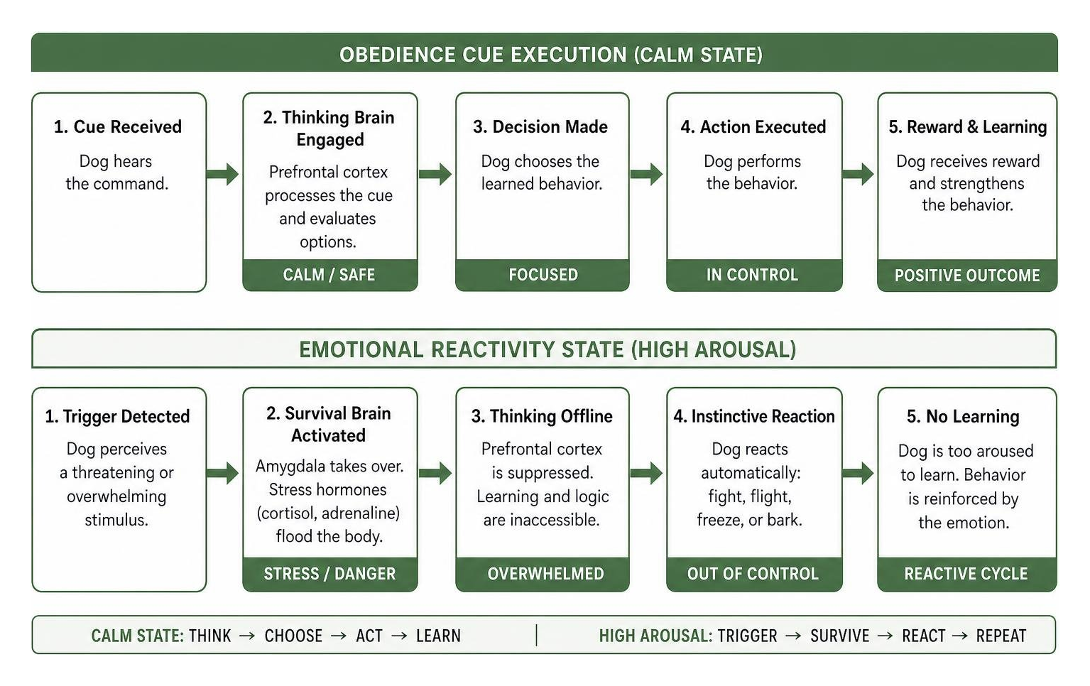 diagram showing brain response differences between obedience cue execution and emotional reactivity state diagram showing brain response differences between obedience cue execution and emotional reactivity state