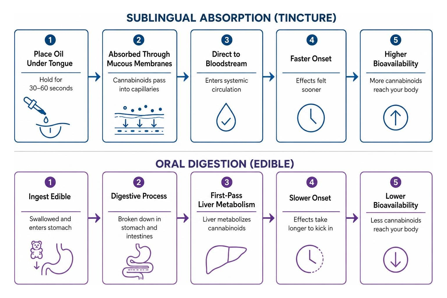 Comparison diagram of sublingual absorption vs oral digestion