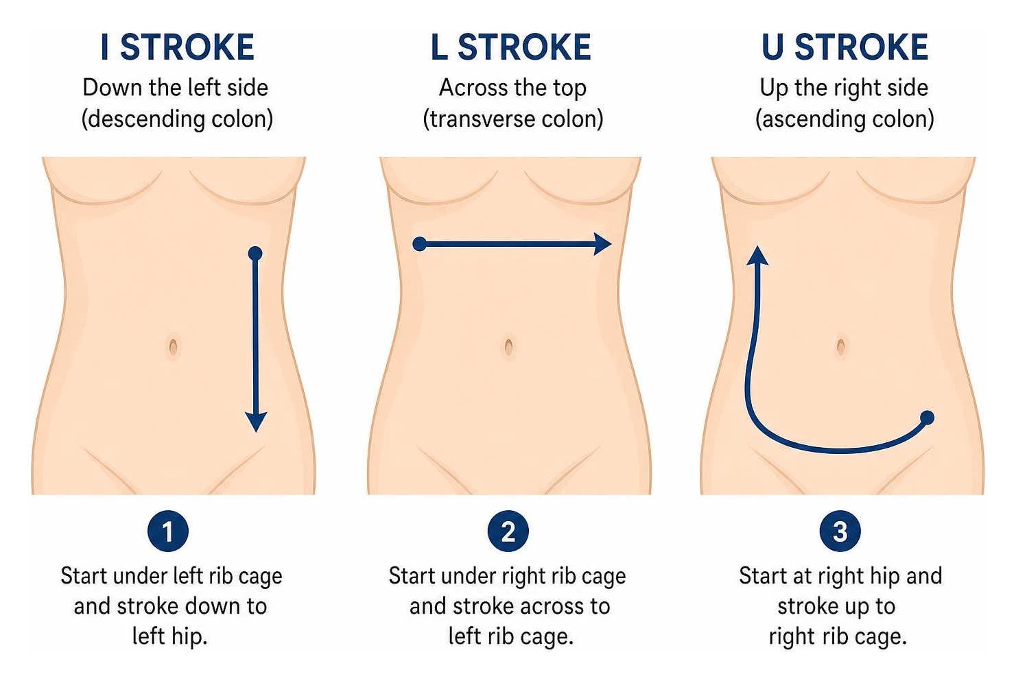 Visual diagram showing the I, L, and U stroke letter paths on abdomen Visual diagram showing the I, L, and U stroke letter paths on abdomen