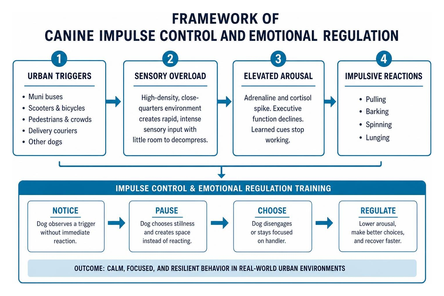 Framework of Canine Impulse Control and Emotional Regulation Framework of Canine Impulse Control and Emotional Regulation