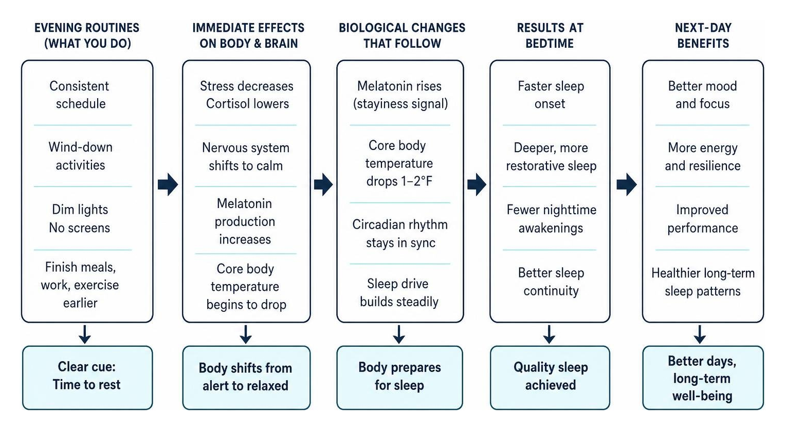 cause and effect chain of evening routines on sleep biology cause and effect chain of evening routines on sleep biology