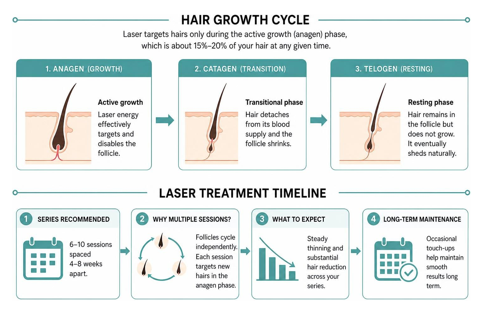 Hair growth cycle and laser treatment timeline Hair growth cycle and laser treatment timeline