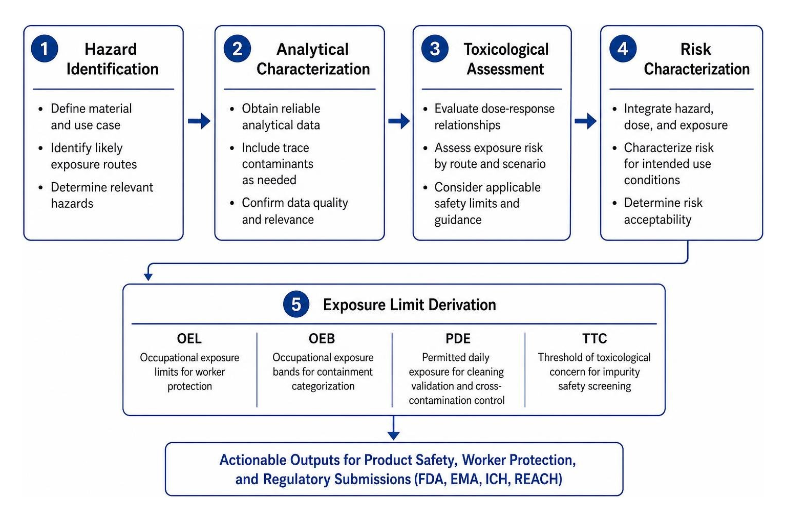 Step-by-step risk assessment workflow from hazard identification to exposure limit derivation Step-by-step risk assessment workflow from hazard identification to exposure limit derivation