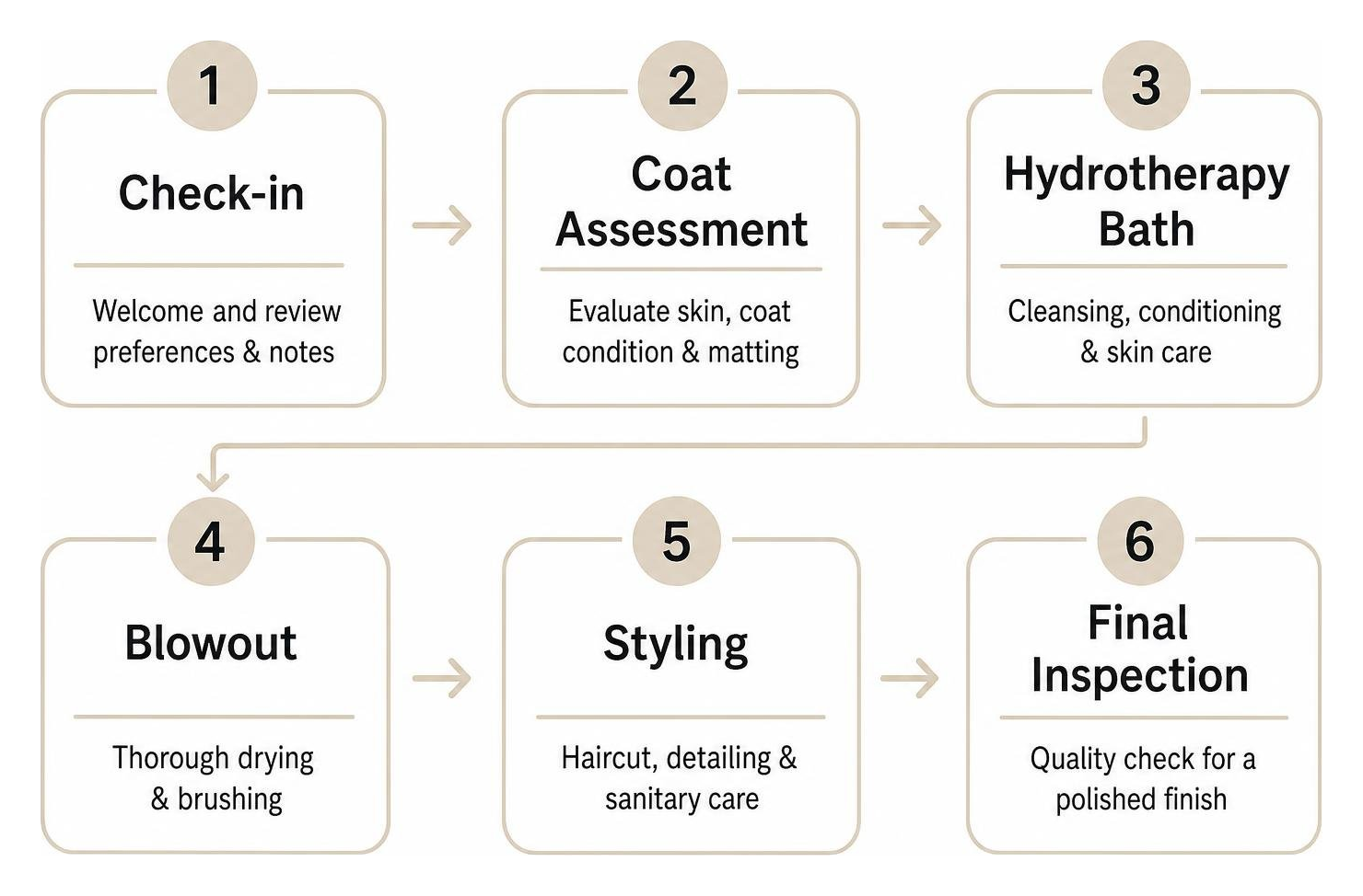 Step-by-step grooming flow: Check-in, Coat Assessment, Hydrotherapy Bath, Blowout, Styling, Final Inspection