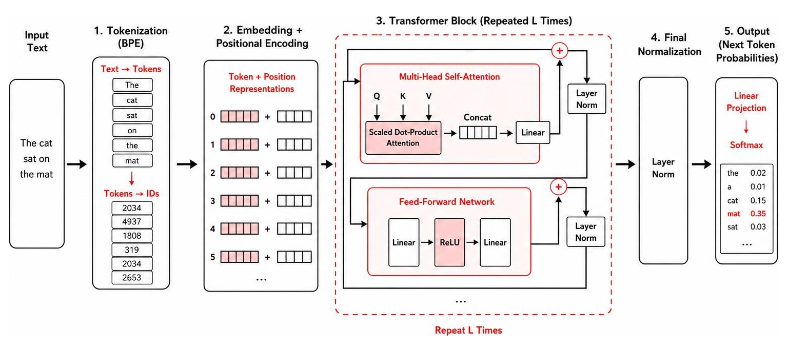 Transformer architecture diagram highlighting tokenization, attention, and normalization steps