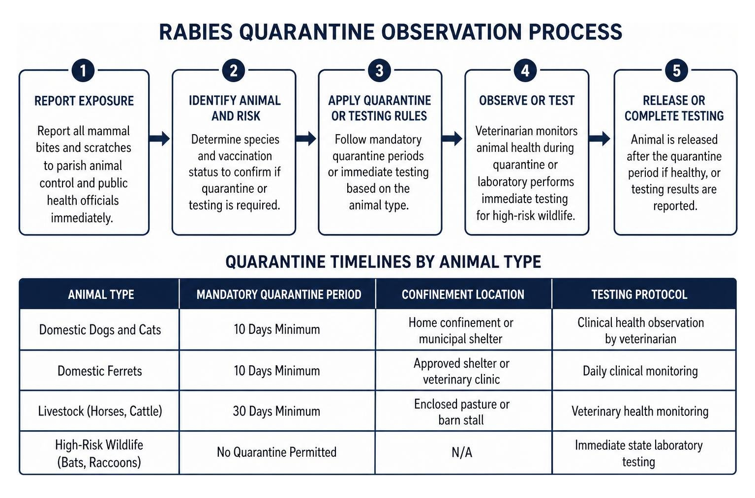 Rabies quarantine observation process Rabies quarantine observation process