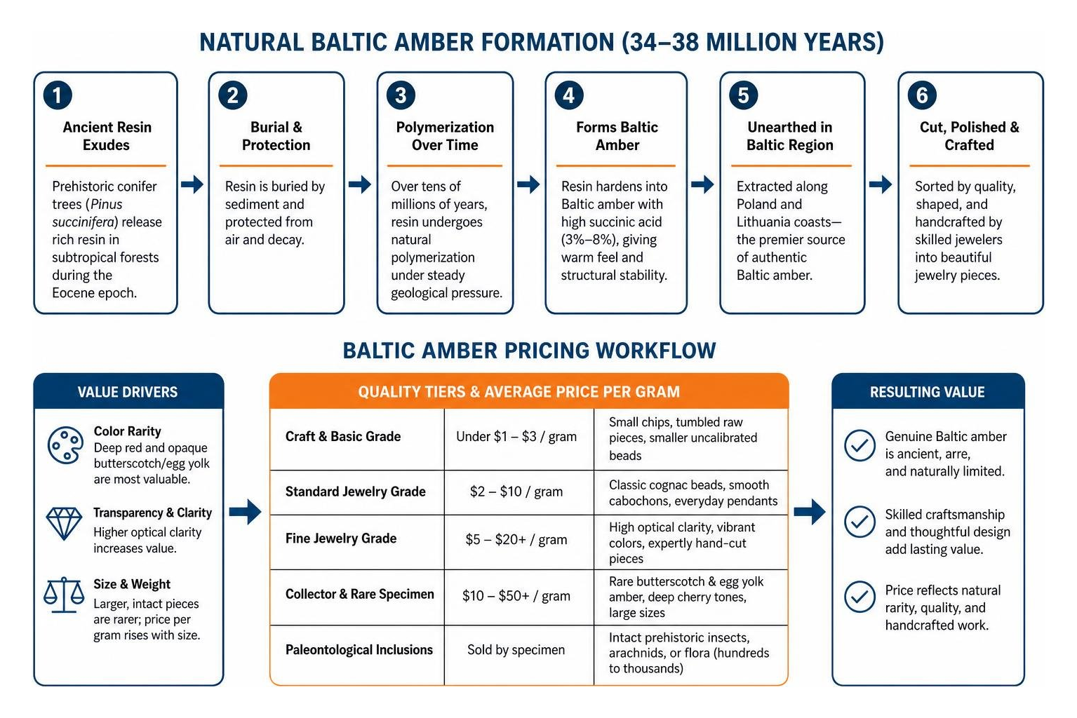 Natural Baltic amber formation and pricing workflow