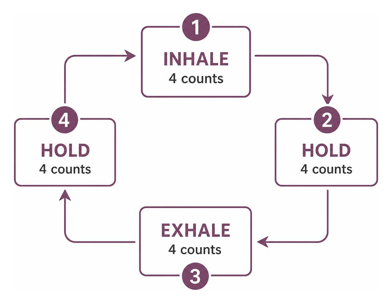 diagram of the box breathing cycle showing four equal steps