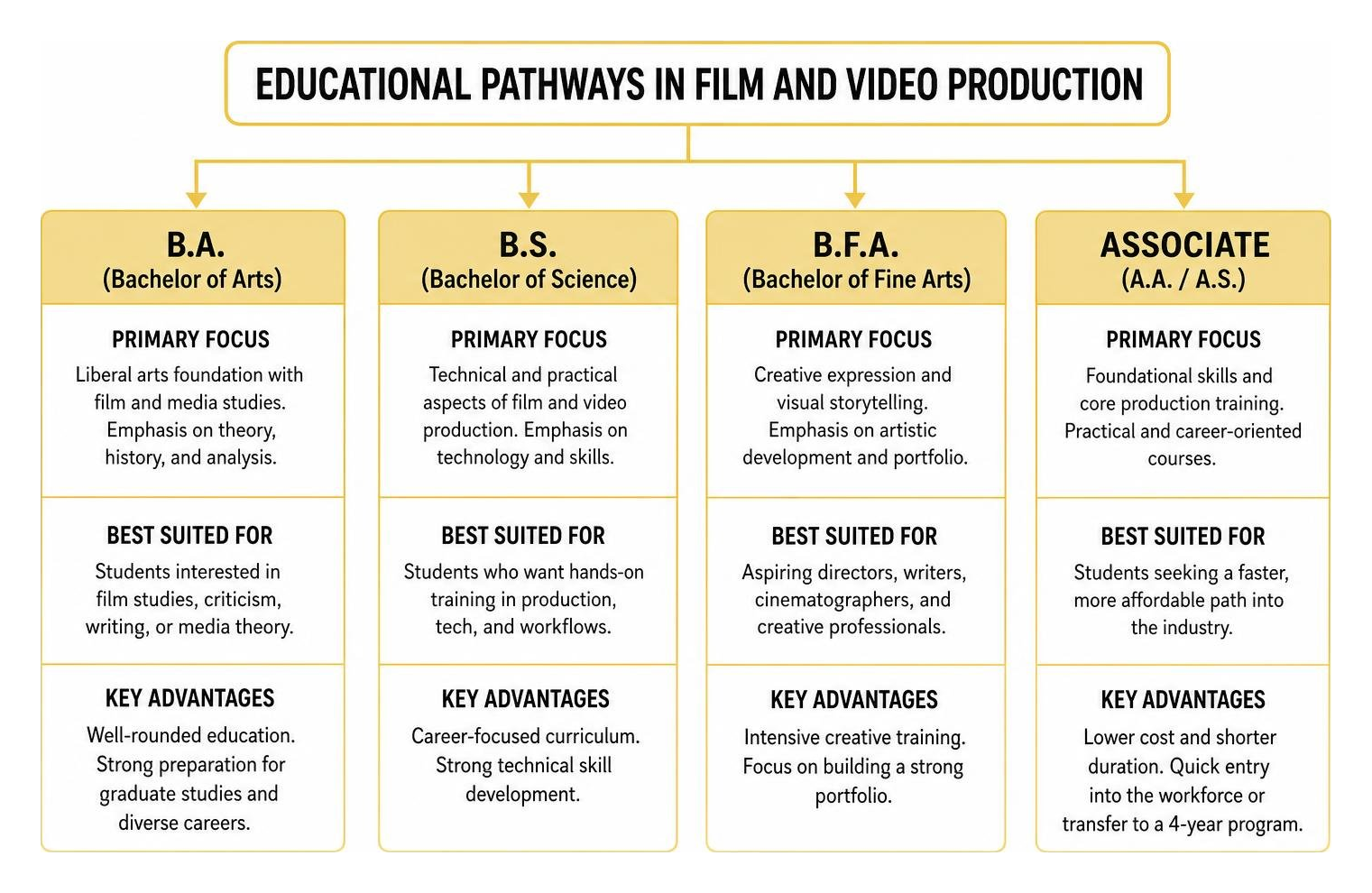 A comparative diagram of educational pathways in film and video production