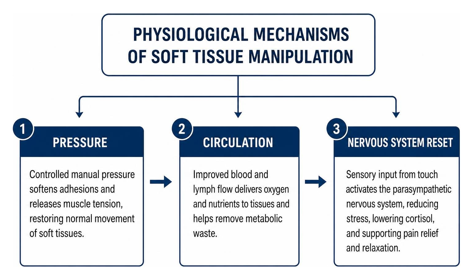 Physiological mechanisms of soft tissue manipulation: pressure, circulation, nervous system reset Physiological mechanisms of soft tissue manipulation: pressure, circulation, nervous system reset