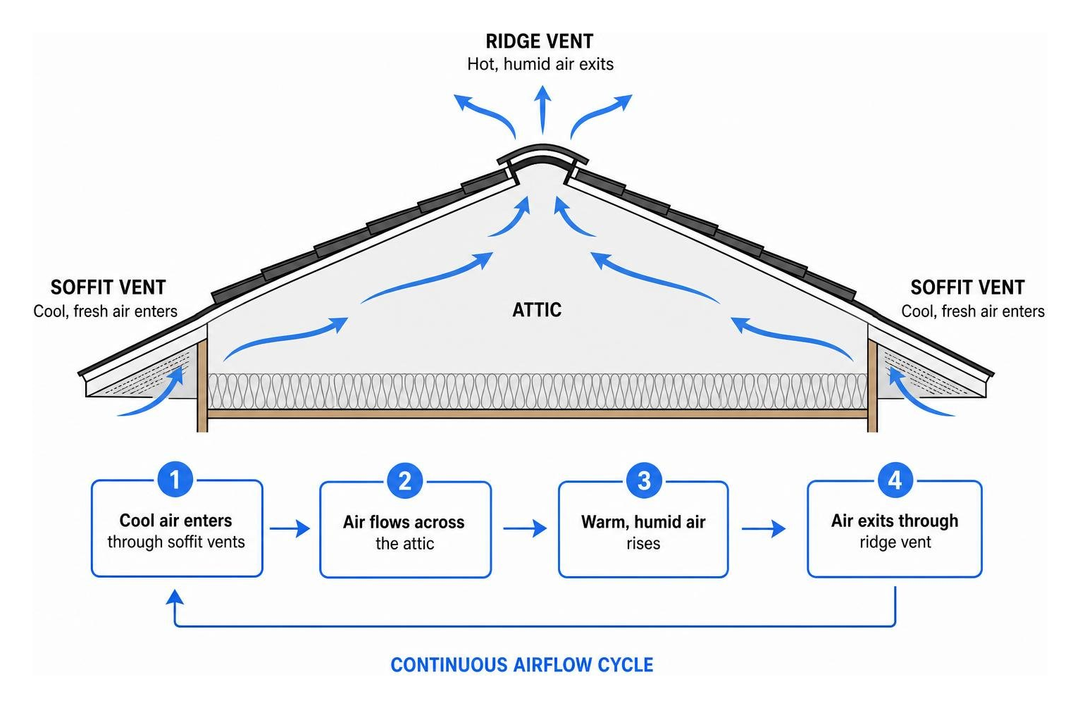 Attic ventilation airflow cycle through soffit and ridge vents Attic ventilation airflow cycle through soffit and ridge vents