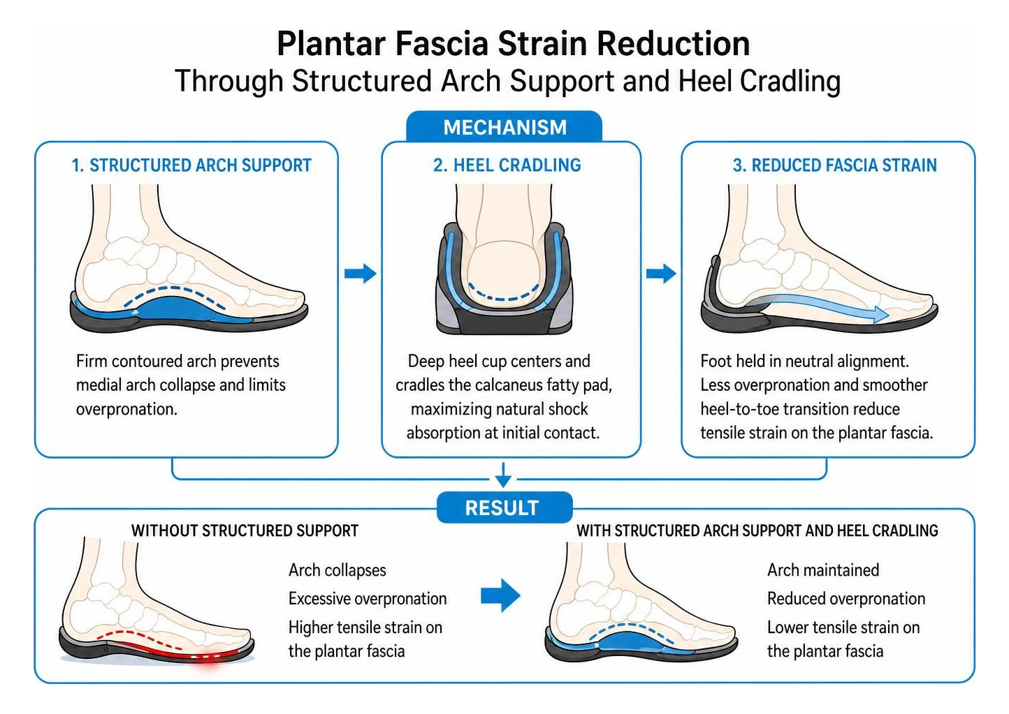 Plantar fascia strain reduction mechanism through structured arch support and heel cradling Plantar fascia strain reduction mechanism through structured arch support and heel cradling
