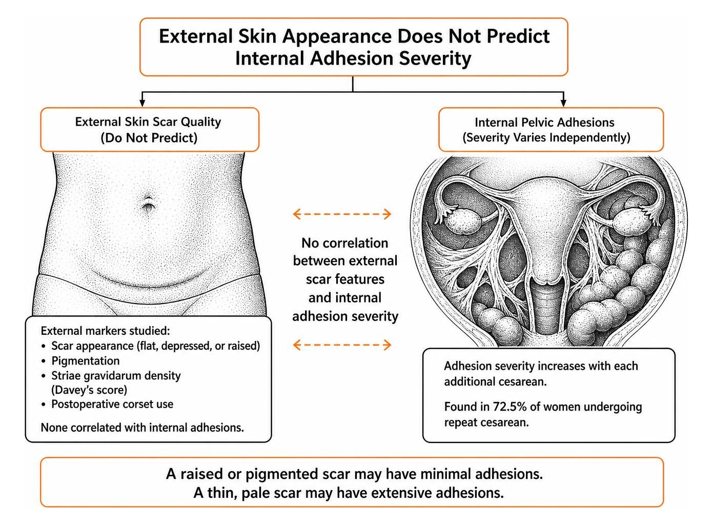 diagram showing divergence between external skin scar quality and internal pelvic adhesion formation diagram showing divergence between external skin scar quality and internal pelvic adhesion formation