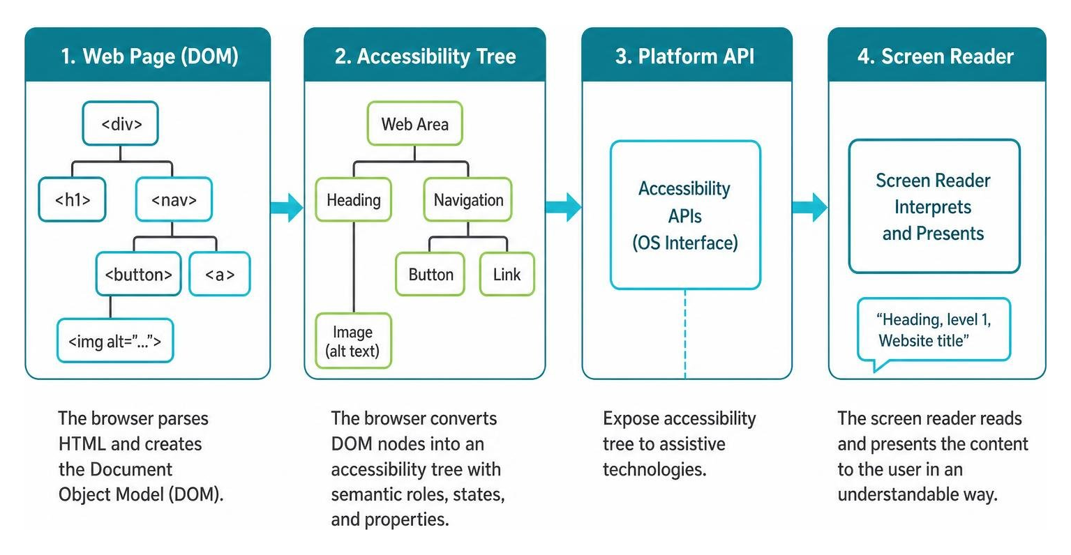 Screen reader interpreting DOM node accessibility tree data flow diagram Screen reader interpreting DOM node accessibility tree data flow diagram