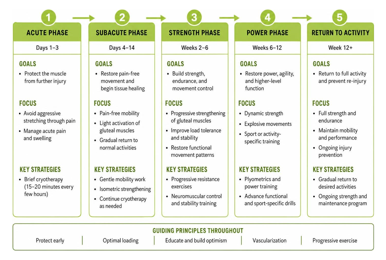 Phased rehabilitation framework for gluteal recovery