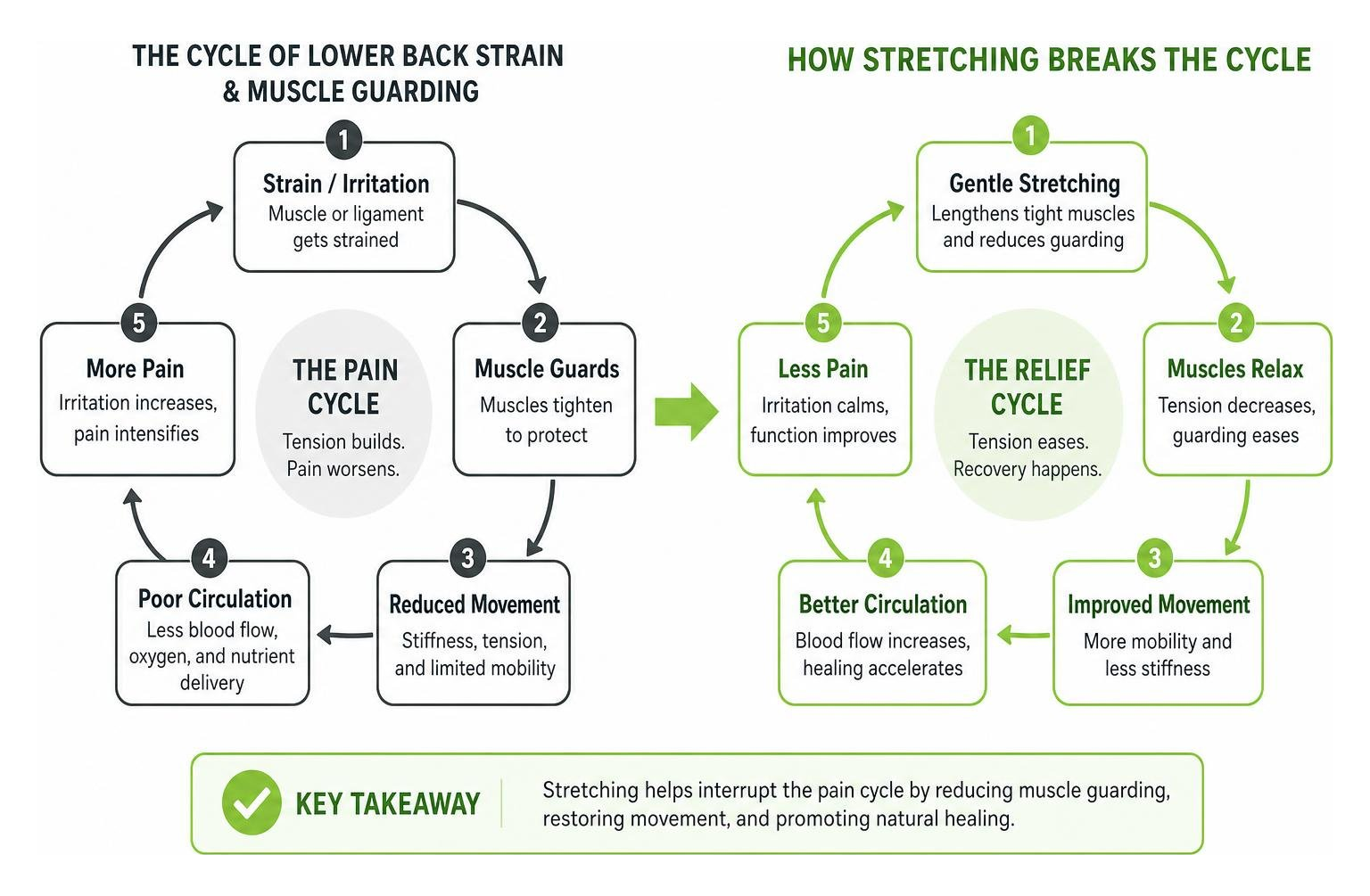 diagram showing the cycle of lower back strain muscle guarding and how stretching breaks it diagram showing the cycle of lower back strain muscle guarding and how stretching breaks it