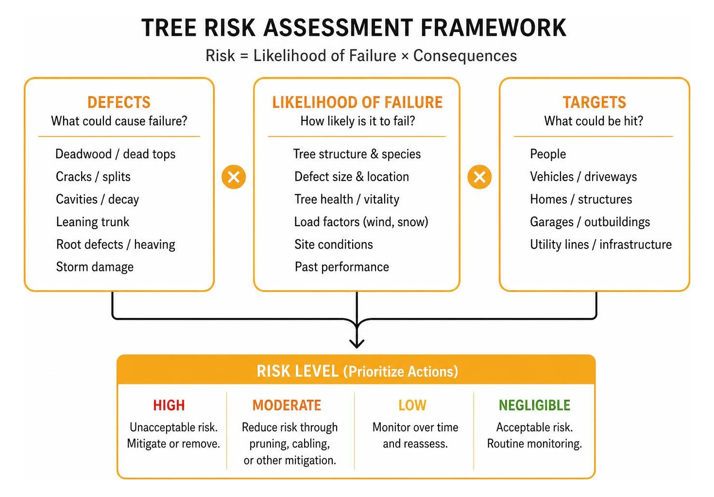 Tree risk assessment framework showing defects targets and likelihood of failure Tree risk assessment framework showing defects targets and likelihood of failure