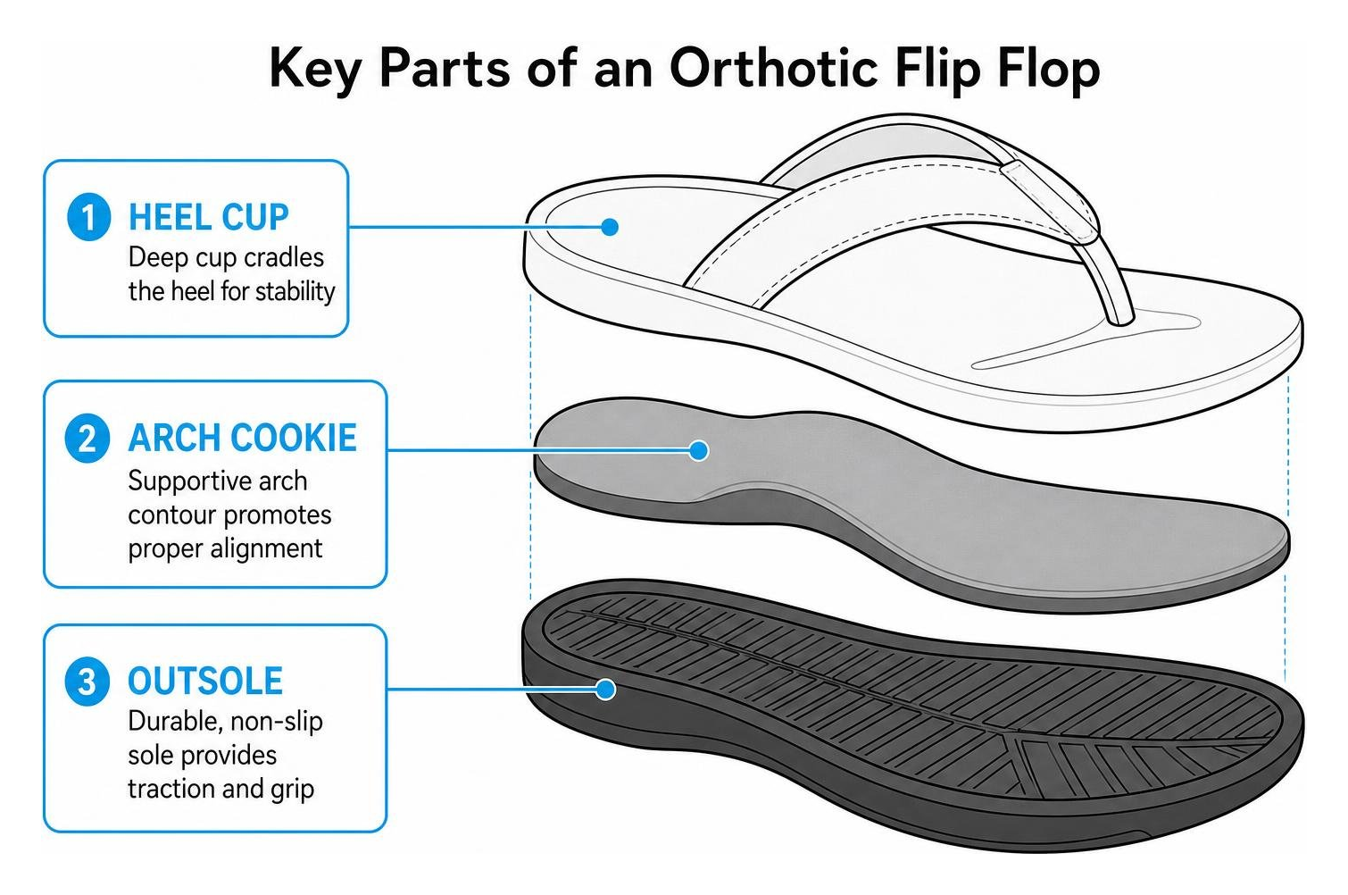 diagram showing key parts of an orthotic flip flop including heel cup arch cookie and outsole diagram showing key parts of an orthotic flip flop including heel cup arch cookie and outsole