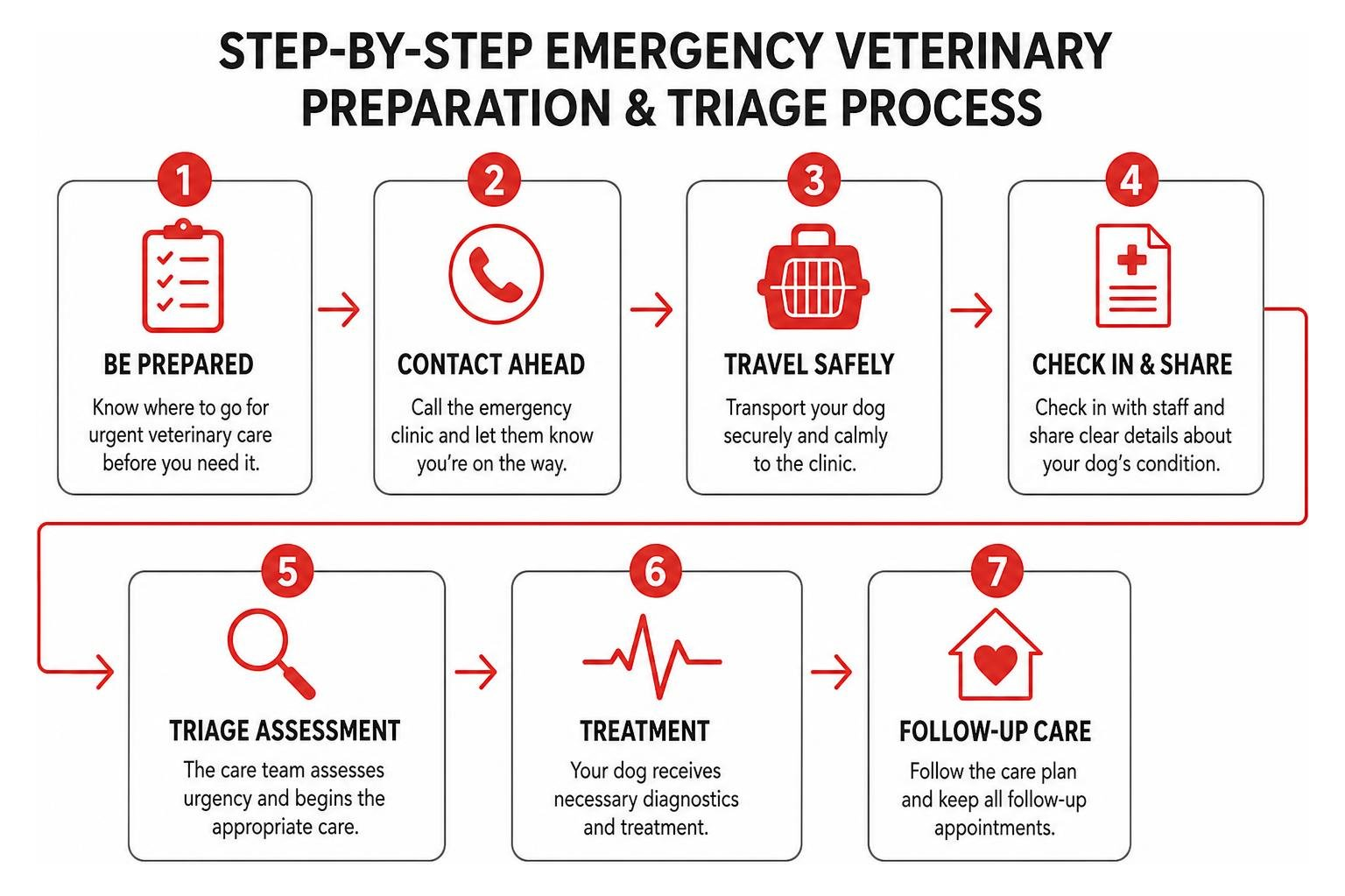 Step-by-step emergency veterinary preparation and triage process