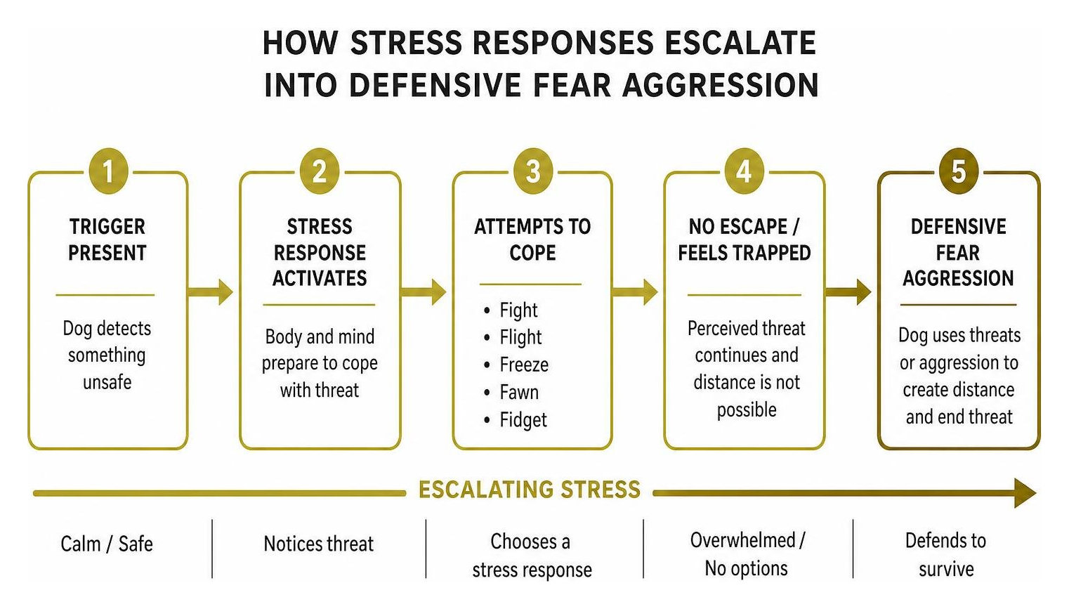 How stress responses escalate into defensive fear aggression