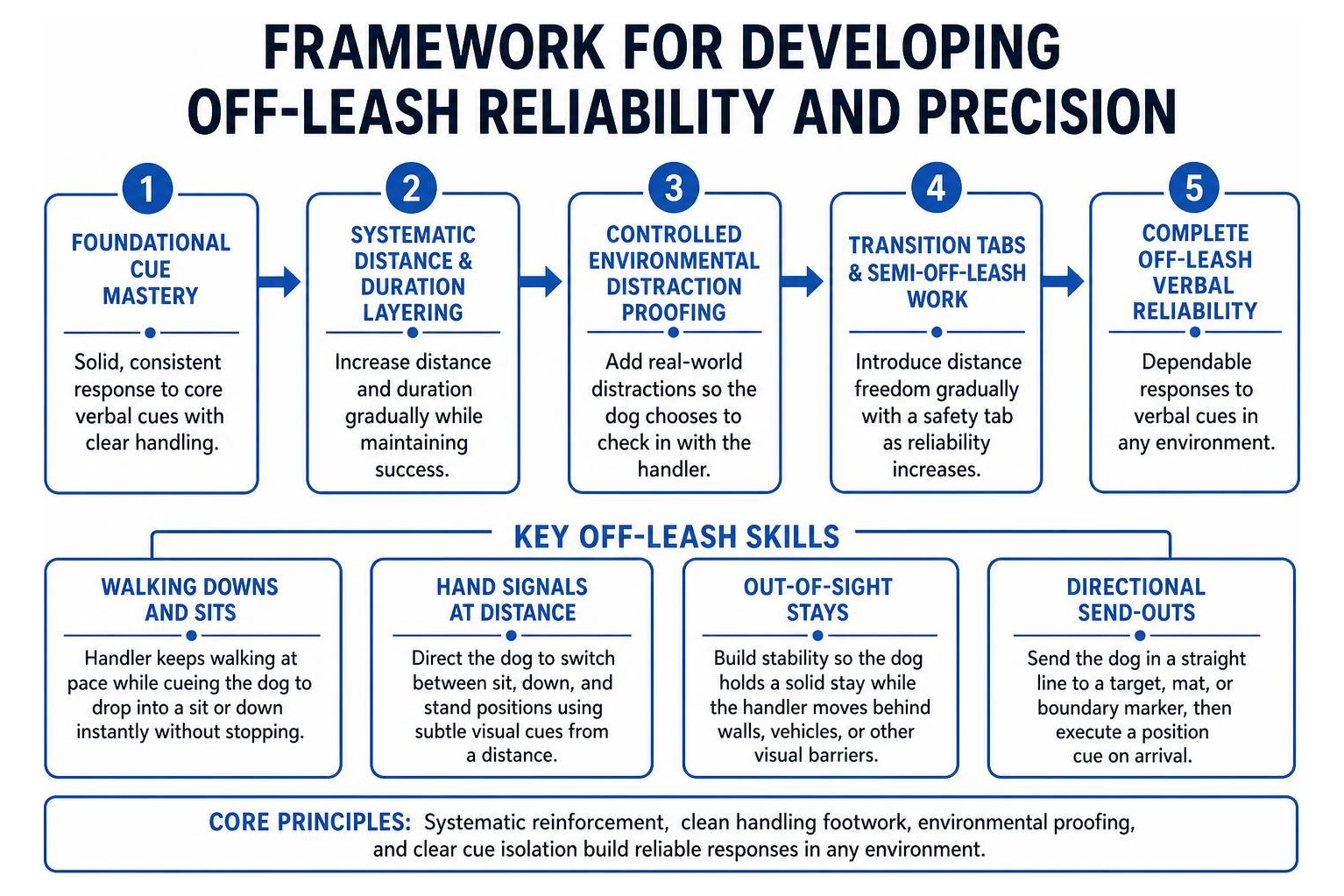 Framework for developing off-leash reliability and precision Framework for developing off-leash reliability and precision