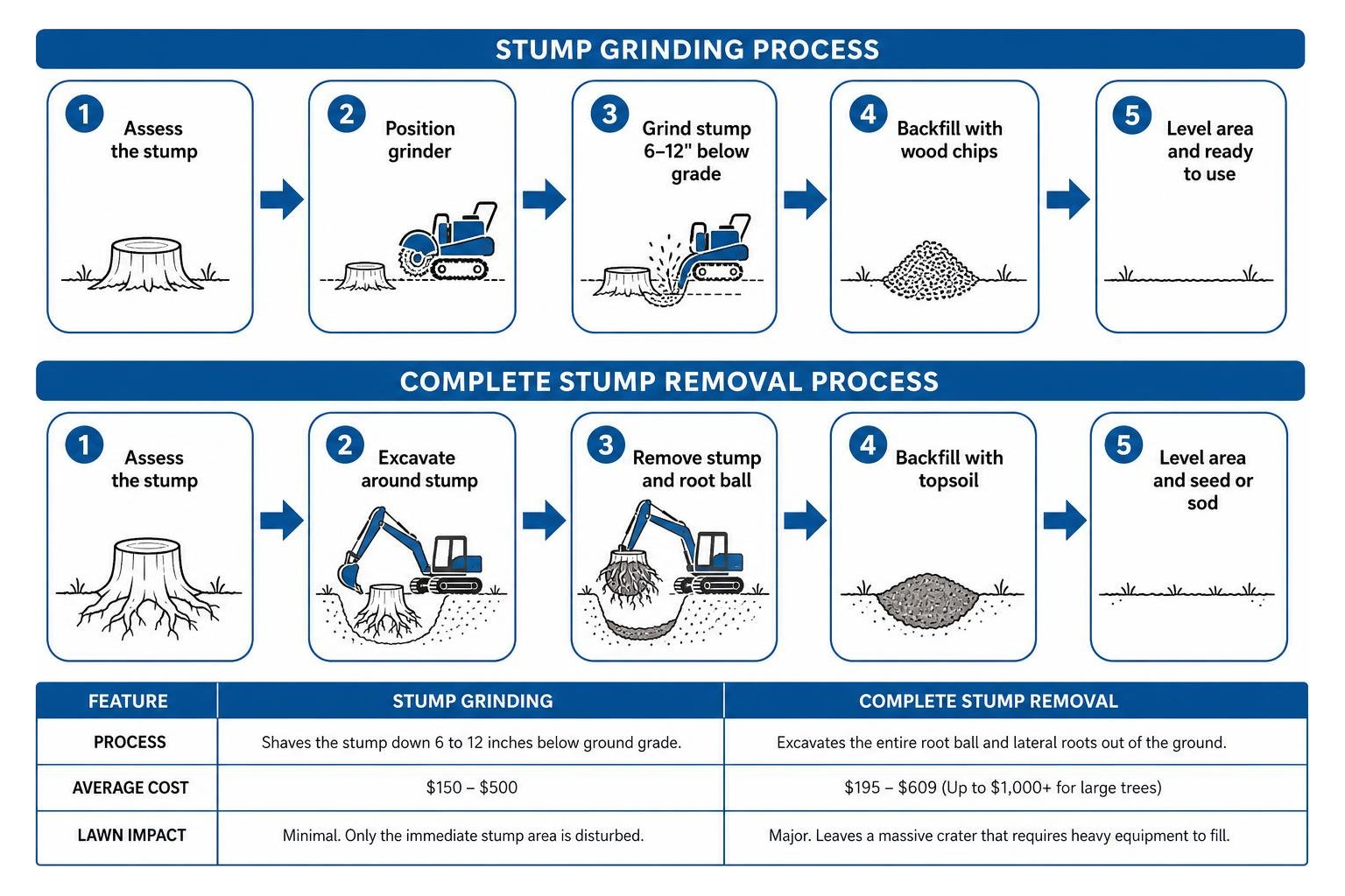 comparison of stump grinding vs complete stump removal process comparison of stump grinding vs complete stump removal process