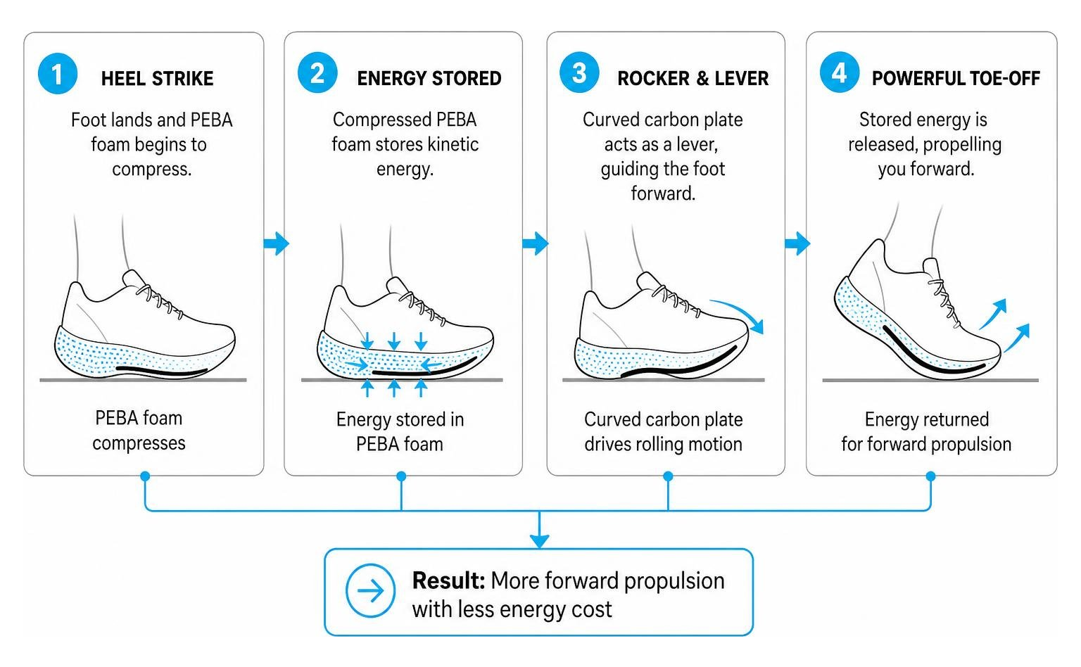 How PEBA foam and curved carbon plates create forward propulsion