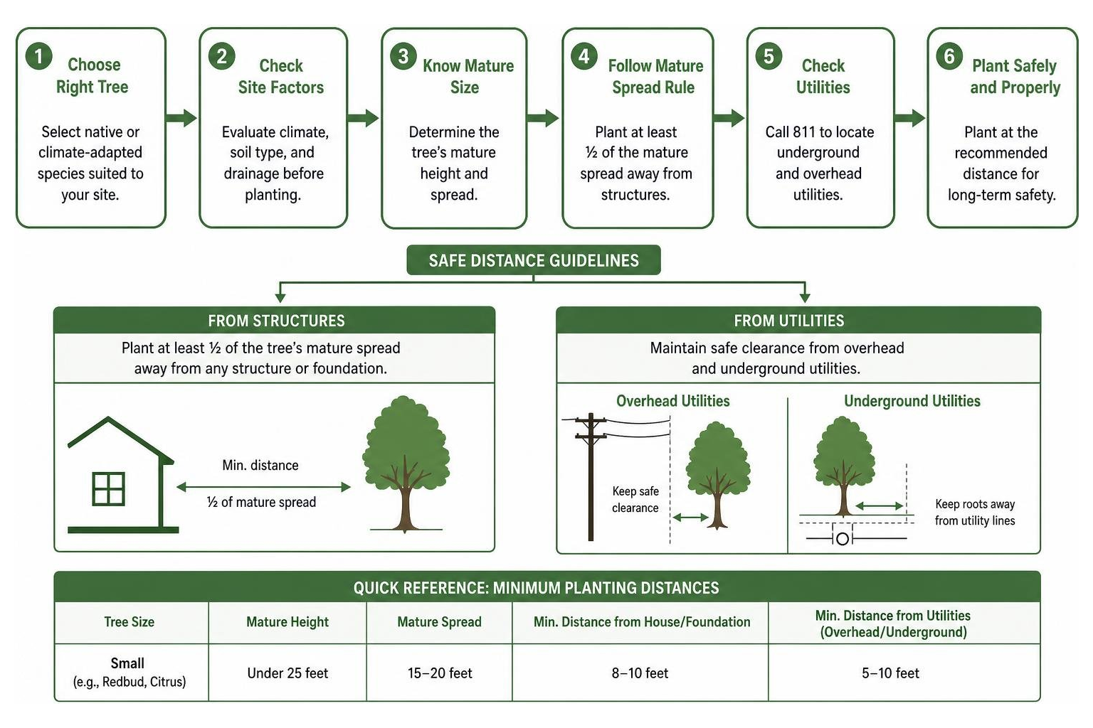 Tree planting and safety distances flowchart Tree planting and safety distances flowchart
