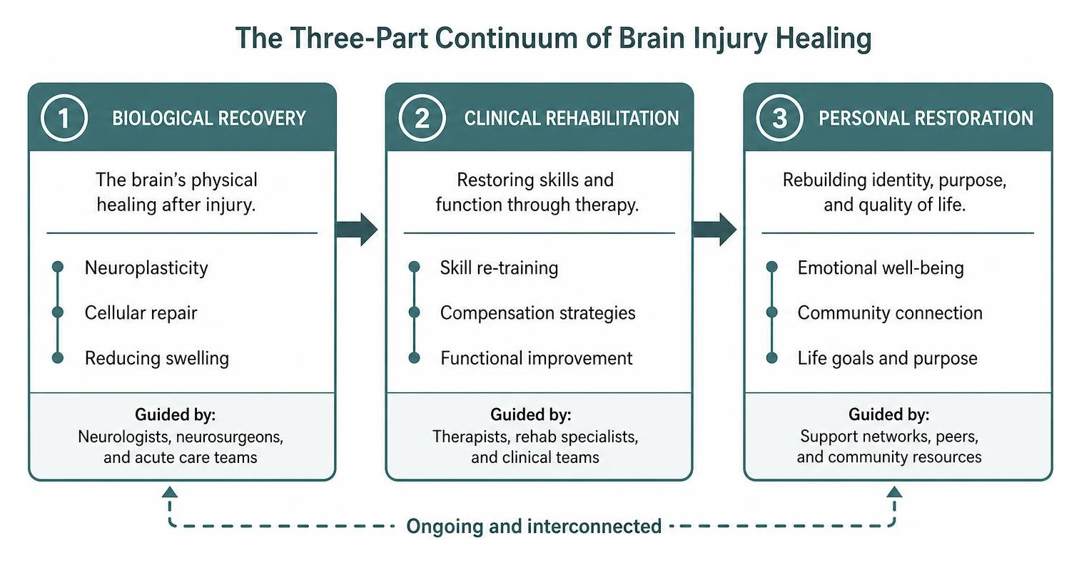 The three-part continuum of brain injury healing: biological recovery, clinical rehabilitation, and personal restoration