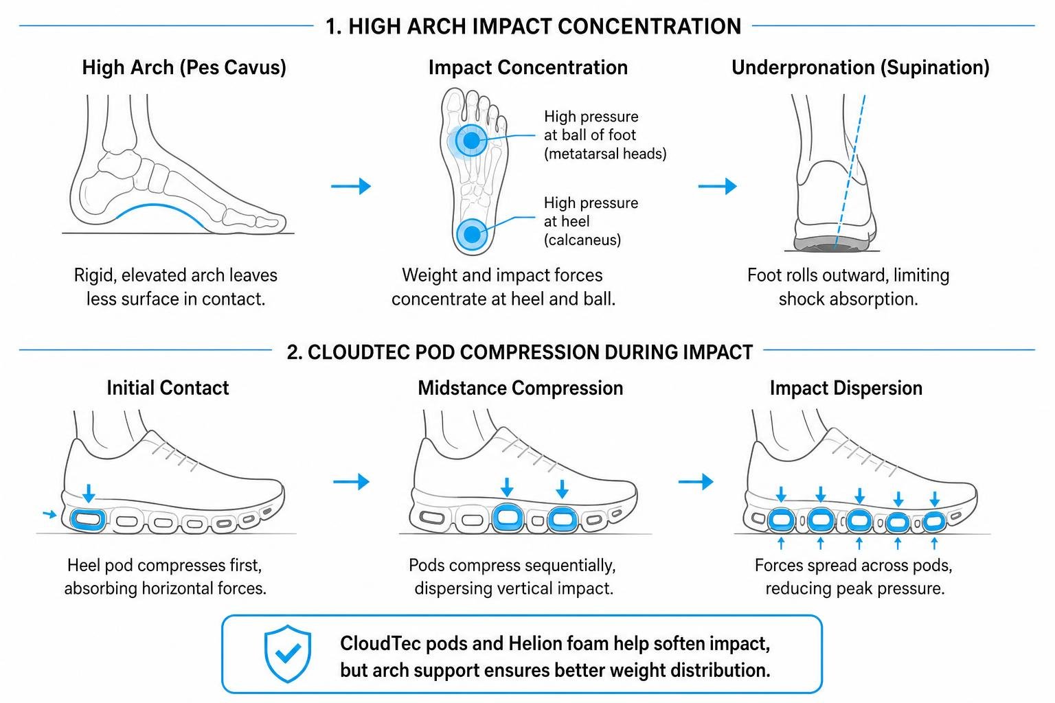 Biomechanics diagram showing high arch impact concentration and pod compression Biomechanics diagram showing high arch impact concentration and pod compression