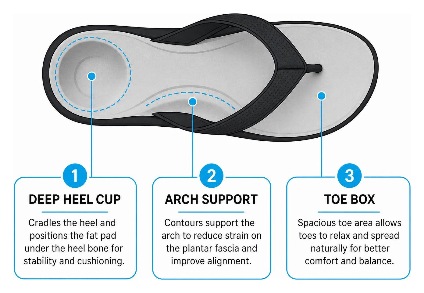 Anatomy of an orthotic flip flop highlighting arch support, deep heel cup, and toe box
