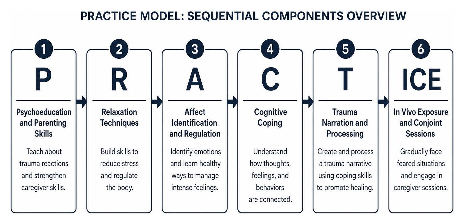 PRACTICE model sequential components overview PRACTICE model sequential components overview