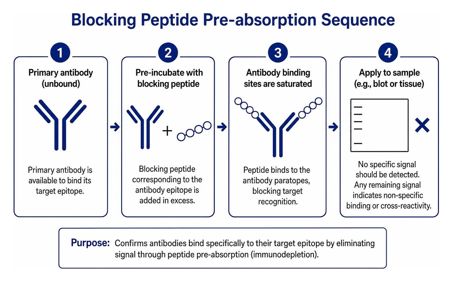 Blocking peptide pre-absorption sequence
