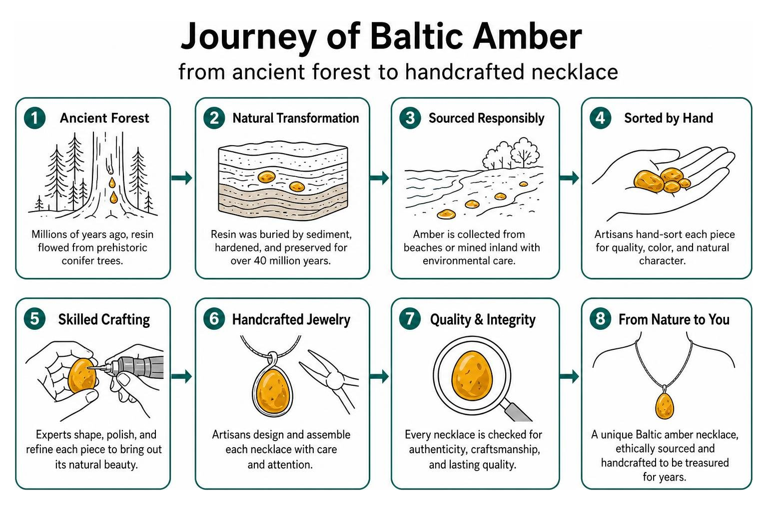 Journey of Baltic amber from ancient forest to handcrafted necklace