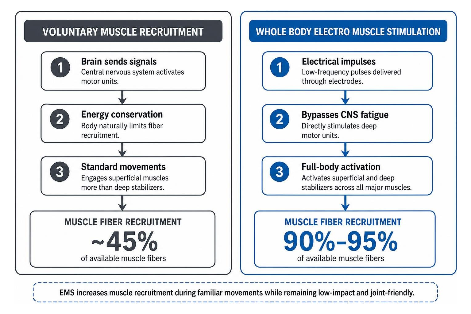Comparison diagram of voluntary muscle recruitment versus whole body electro muscle stimulation