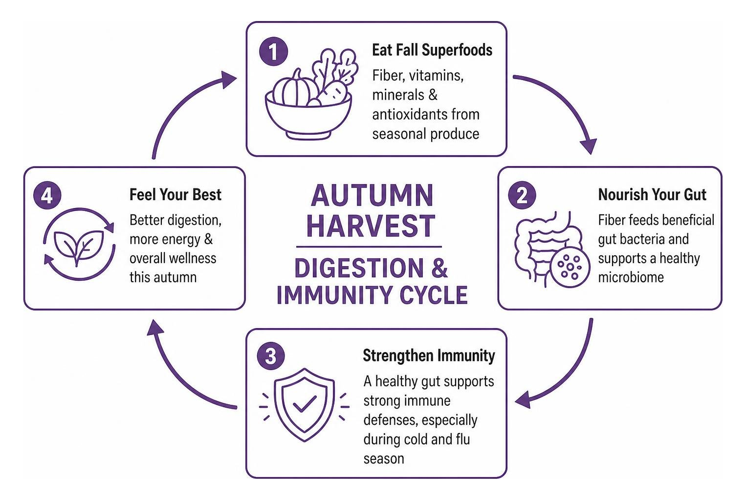 autumn harvest digestion and immunity cycle