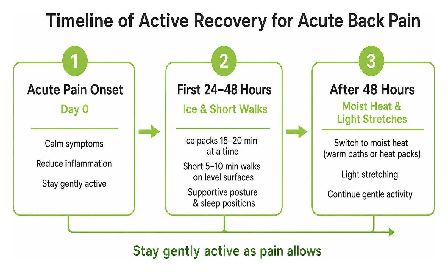 Timeline of active recovery for acute back pain Timeline of active recovery for acute back pain