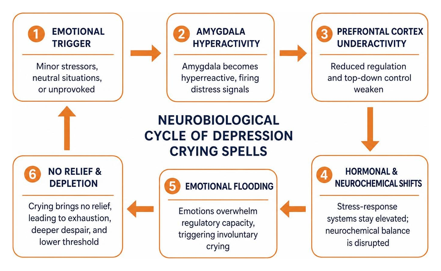 Neurobiological cycle of depression crying spells Neurobiological cycle of depression crying spells