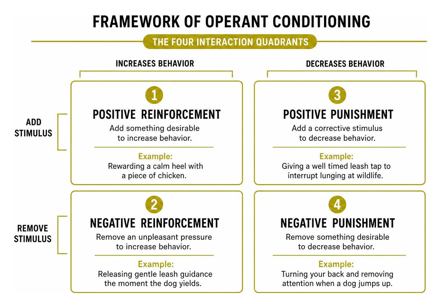 Framework of operant conditioning showing the four interaction quadrants