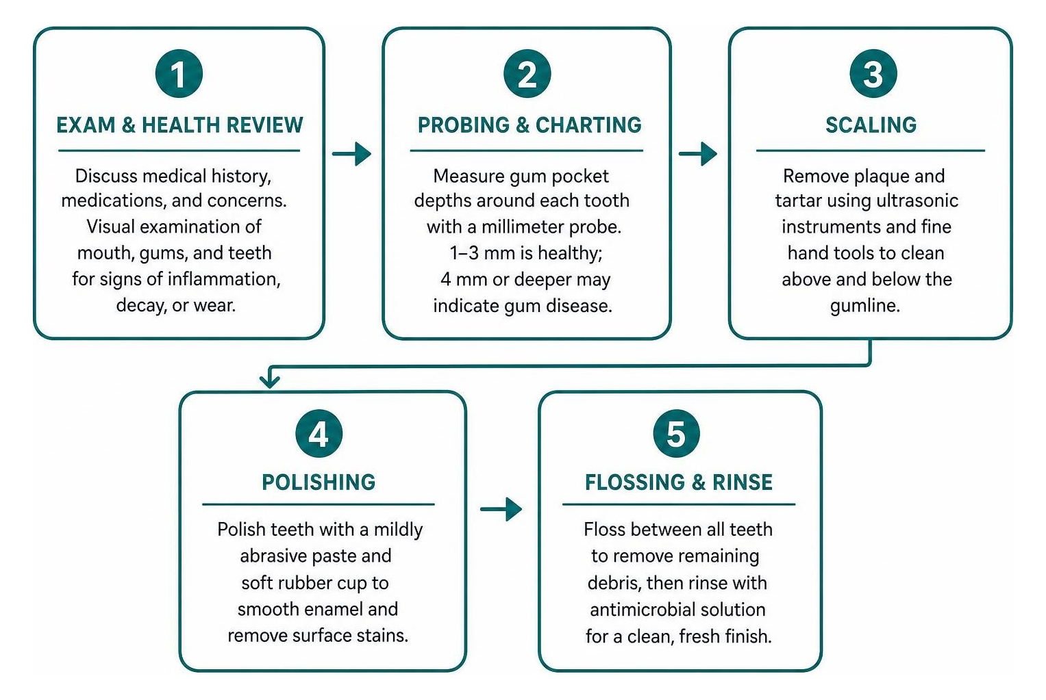 step-by-step dental cleaning process from exam to polish
