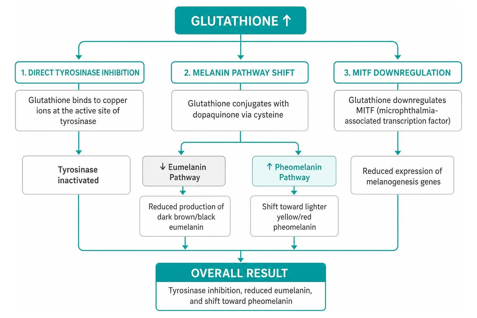 Glutathione Whitening Drip: Safe Glow?