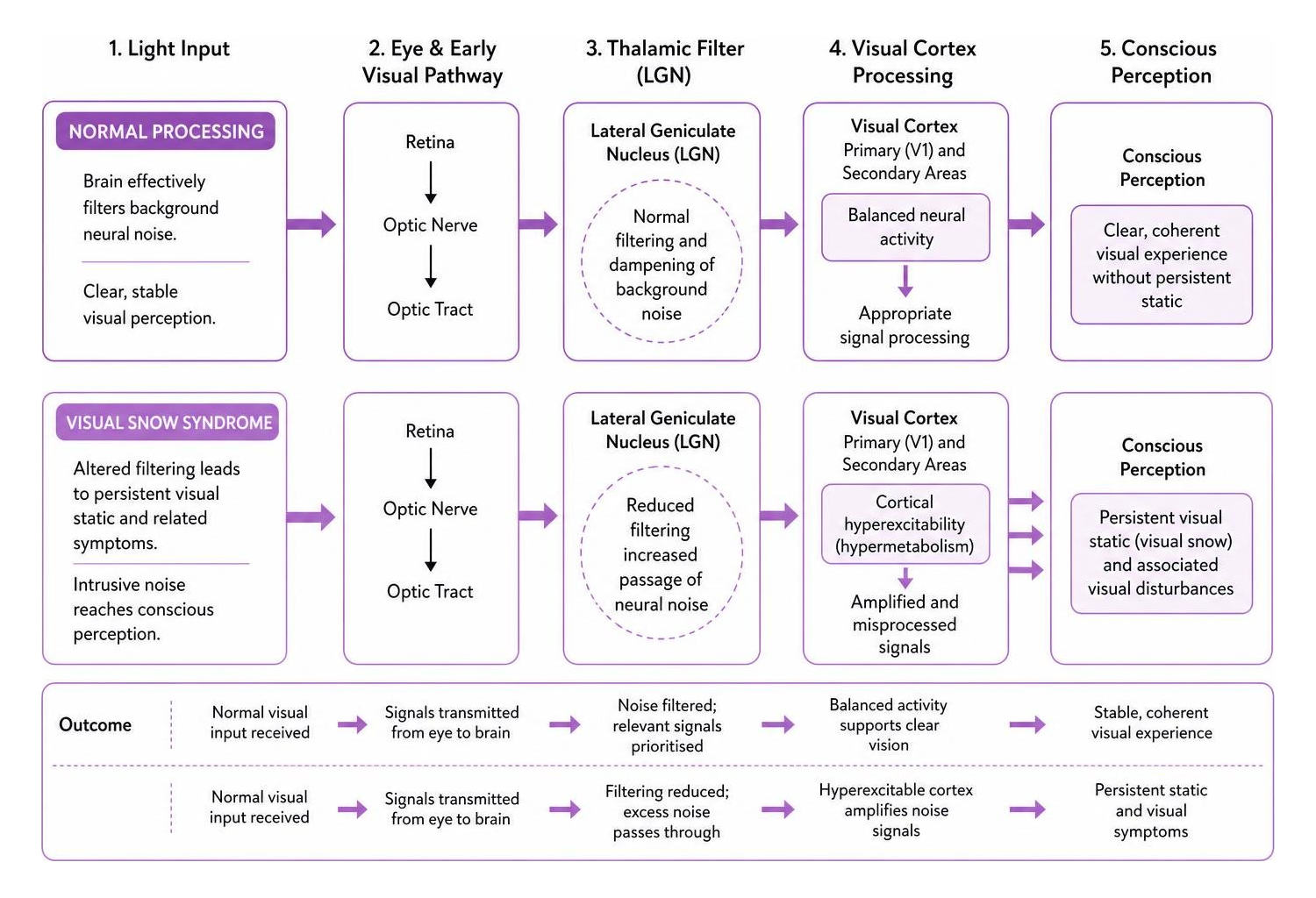 Visual sensory processing and cortical pathways diagram Visual sensory processing and cortical pathways diagram