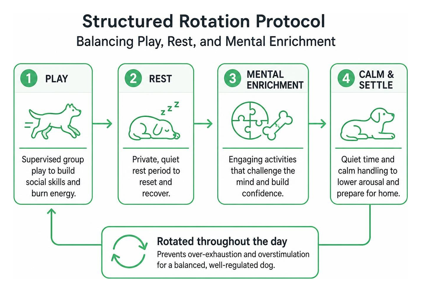 Diagram of structured rotation protocol balancing play rest and mental enrichment