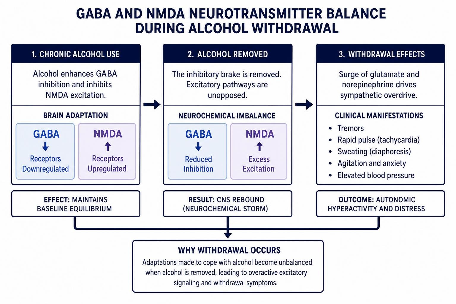 GABA and NMDA neurotransmitter balance during alcohol withdrawal