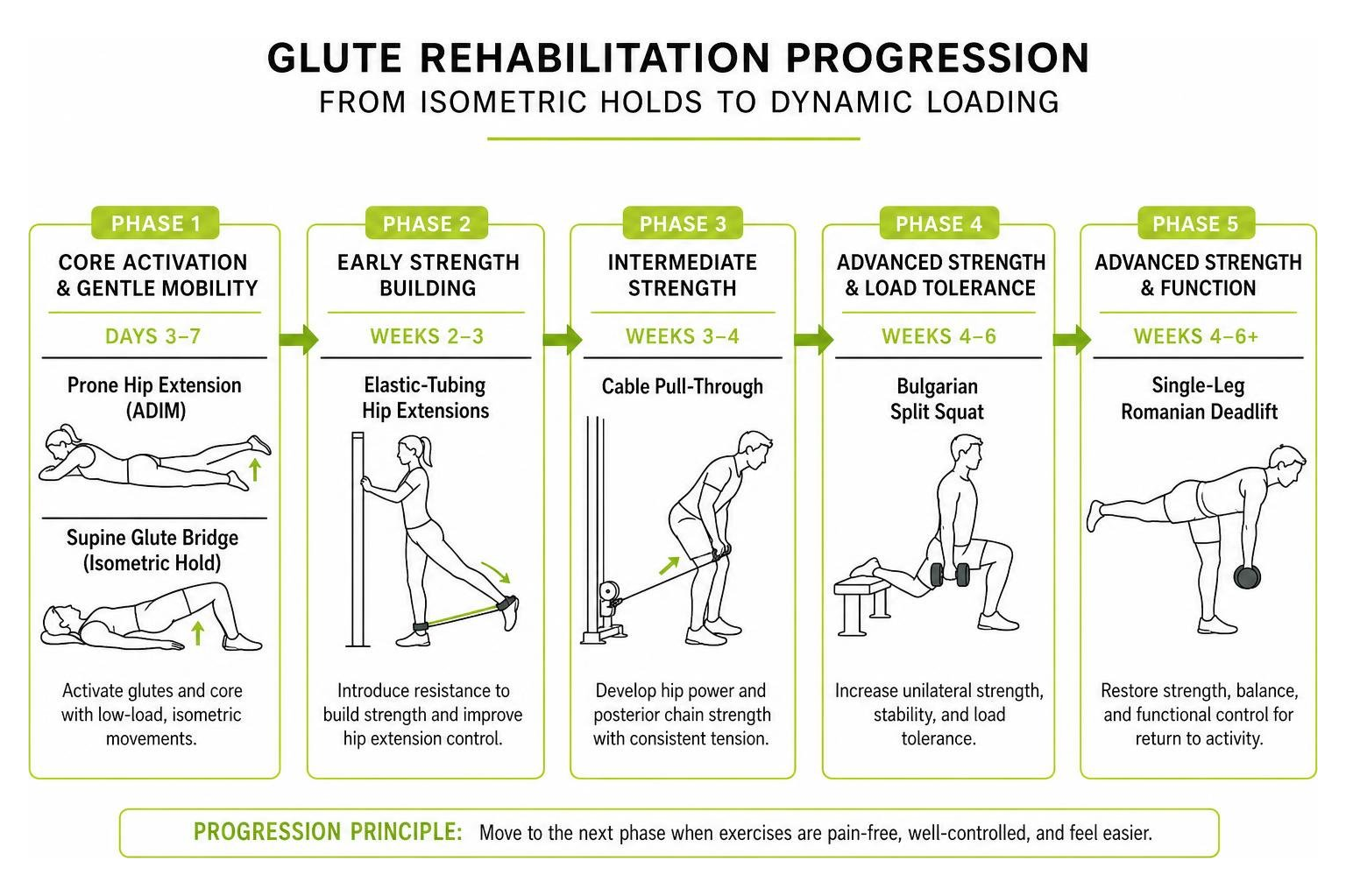 Glute rehabilitation progression from isometric holds to dynamic loading Glute rehabilitation progression from isometric holds to dynamic loading